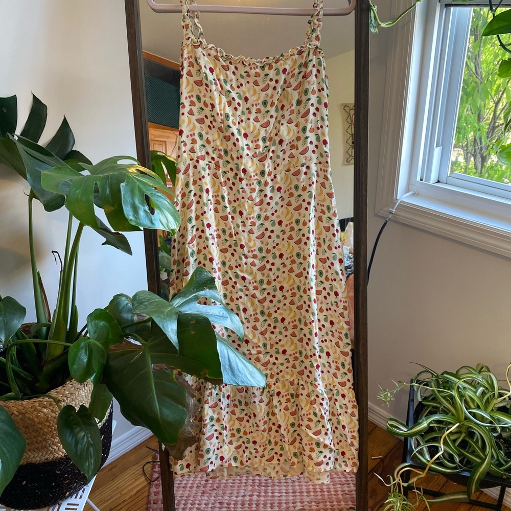 BNWOT reformation Grenada Dress